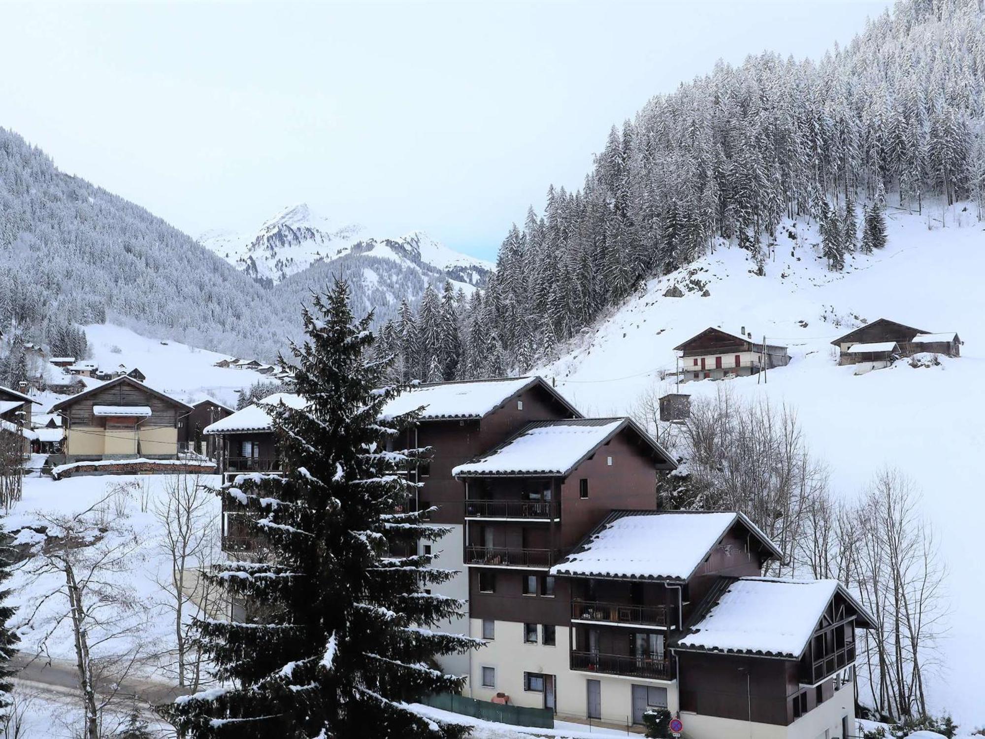 Appartement Arêches-Beaufort, 2 pièces, 4 personnes - FR-1-342-173 Extérieur photo